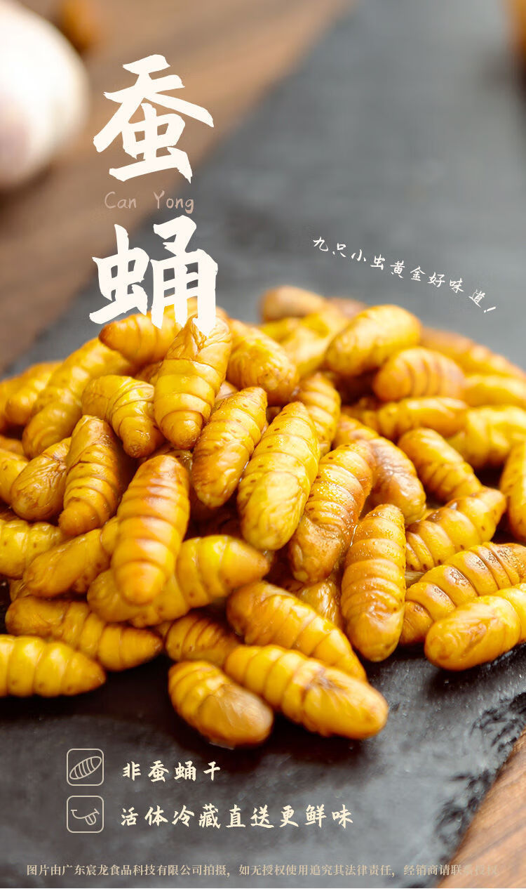 1000g 蚕蛹鲜活金丝新鲜茧蛹生烧烤蝉蛹幼虫钓鱼山东商用小蚕蛹冷 