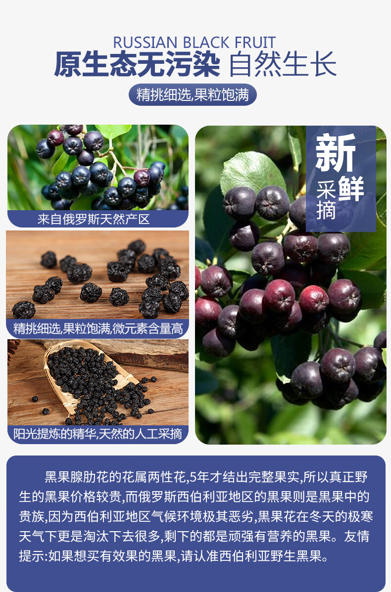 俄罗斯黑果100g天然进口纯天鹅绒黑果实小黑果花楸