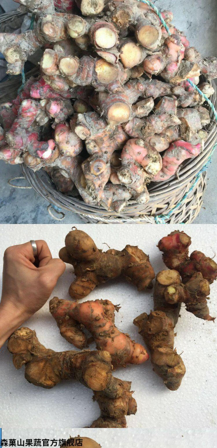 【顺丰】潮汕南姜新鲜 食用蓝姜 潮州生姜姜野生山姜头 1000g【图片