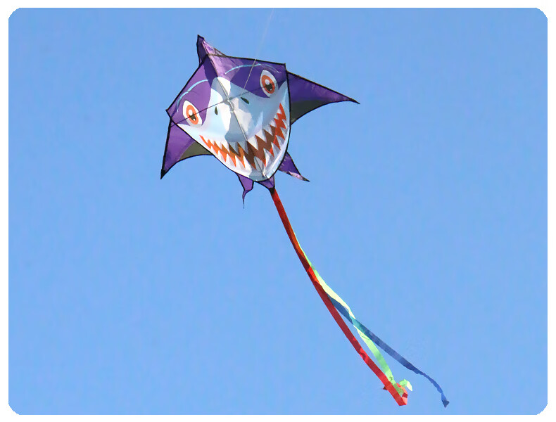 风筝大型成人特大潍坊鲨鱼风筝儿童卡通小型长尾成人易飞初学者微风网