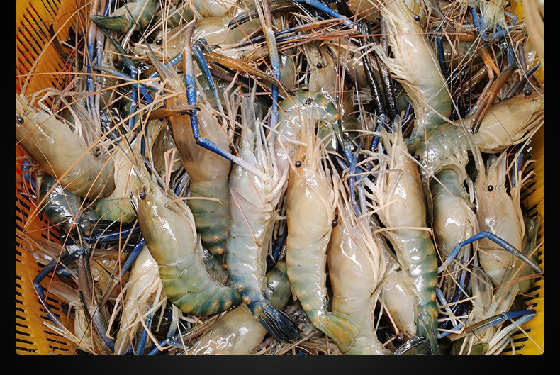 罗氏沼虾淡水大虾河虾对虾龙虾海鲜生鲜冷冻大虾基围虾鹿