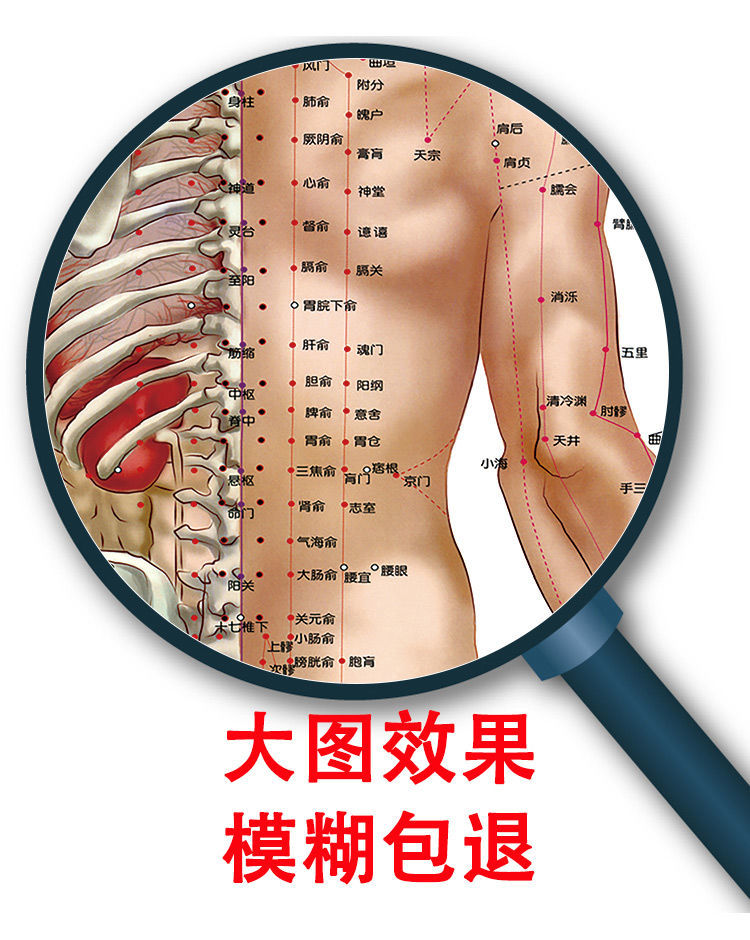 十二经络起止图片