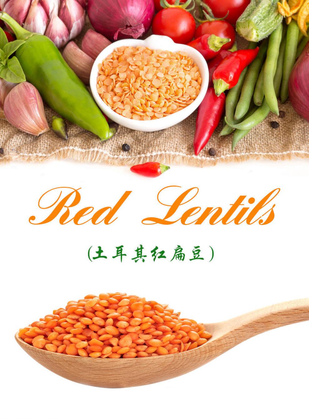 土耳其红扁豆 土耳其进口红扁豆454g/罐天然谷物杂粮食品煮粥营养丰富