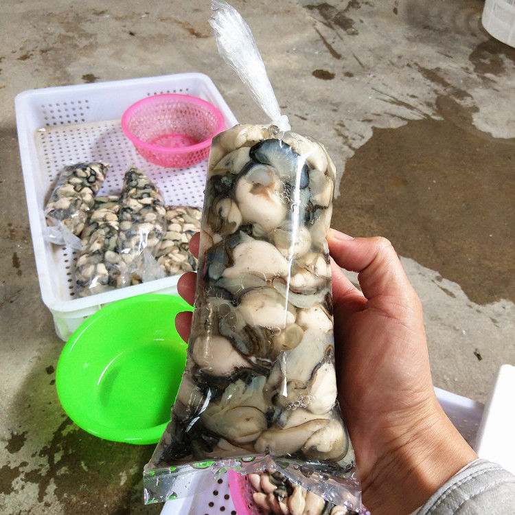 现剥新鲜汫洲生蚝水生水产牡蛎鲜活海鲜海蛎子去壳蚝肉蚝烙蚝仔煎 3斤