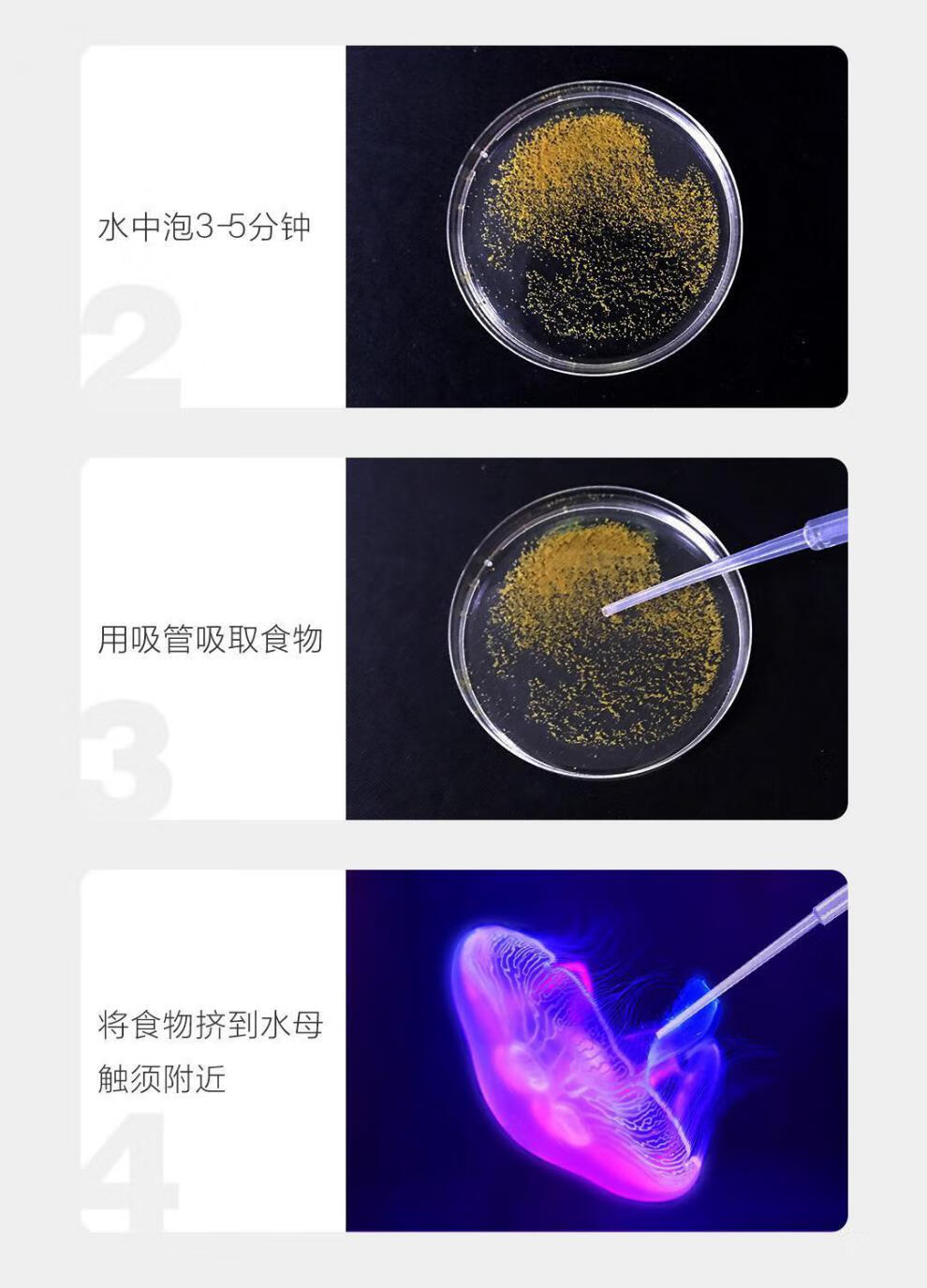 水母营养液 水母饲料水母喂食食物营养液饵料饲料养殖水母用品丰年虾