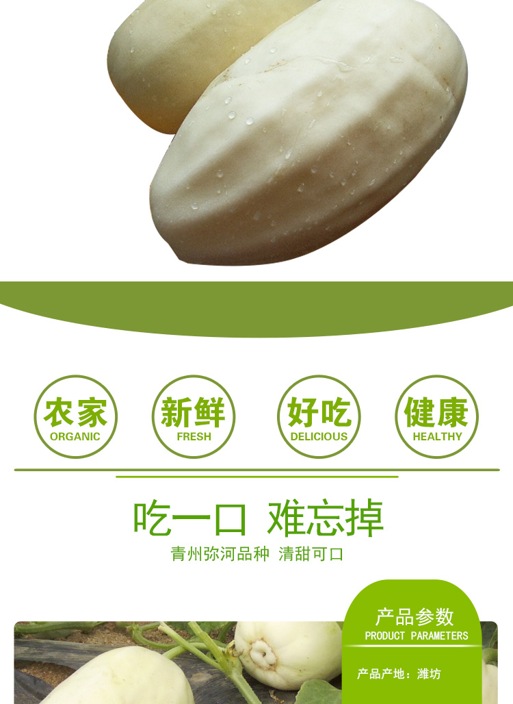 源外园 青州特产弥河银瓜青州银瓜 甜瓜香瓜非绿宝甜瓜 新鲜瓜果顺丰