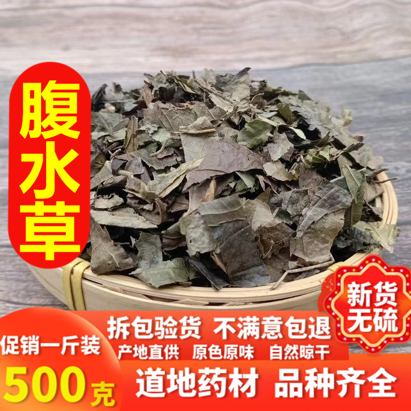 同仁堂腹水草新鲜中药材精选新货天桥草 仙桥草 毛