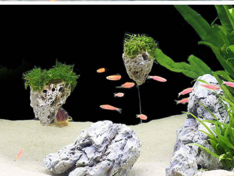 2021新品浮石鱼缸造景仿真漂浮石侧面岩石悬浮石水族装饰造景石u780s