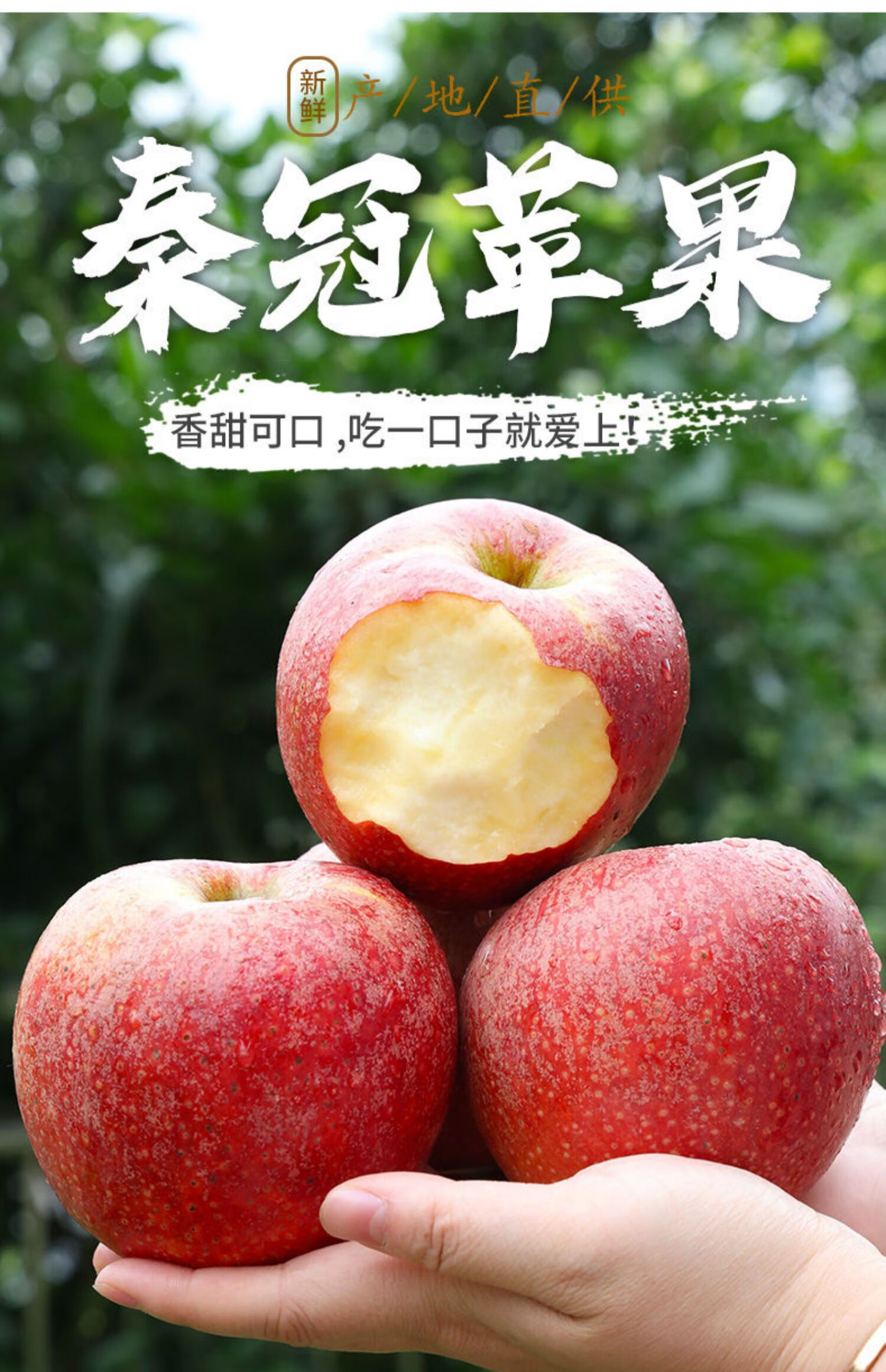 陕西秦冠苹果新鲜水果粉面甜老人宝宝刮泥整箱10斤非花牛蛇果9斤75mm