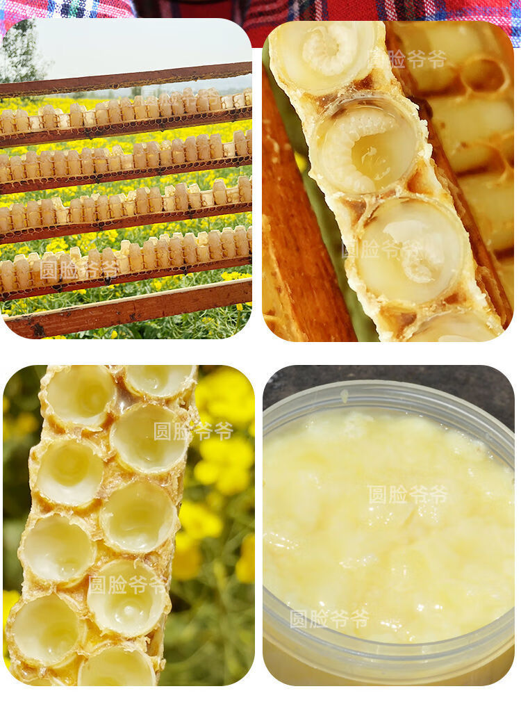 蜂王浆农家自产新鲜小袋装蜂皇浆采青然花春浆 王浆1 1/共100袋【图片