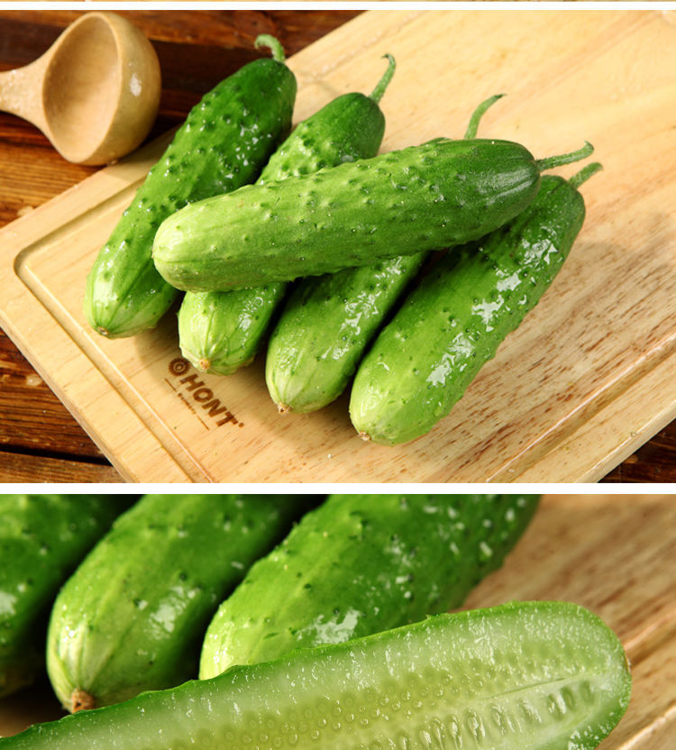 现摘水果黄瓜山东旱黄瓜本地大刺黄瓜甜脆爽口嫩孕妇生吃批发3斤装