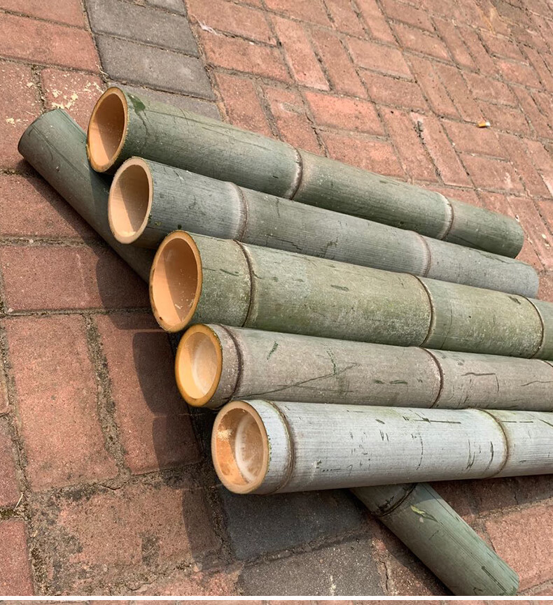 现新鲜竹子竹筒杯碗天然原材料楠竹定制diy竹筒饭蒸筒毛竹制品采缇外