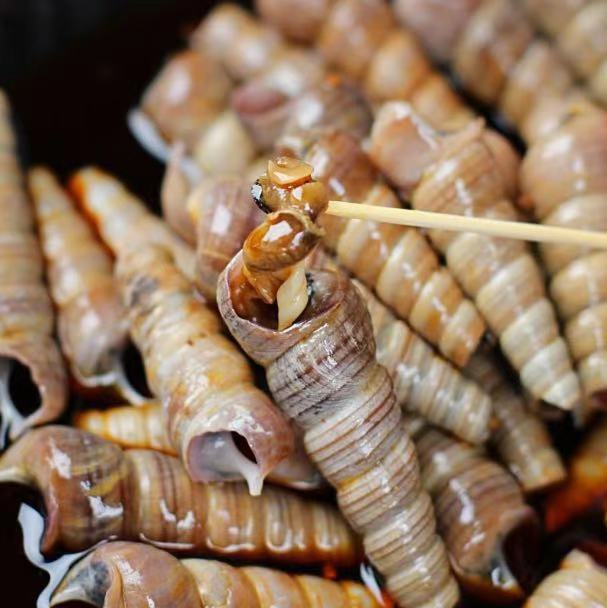 钉螺新鲜钉螺螺丝超大新鲜钉螺冷冻长尾螺海锥烧烤泥螺海鲜3斤家庭装