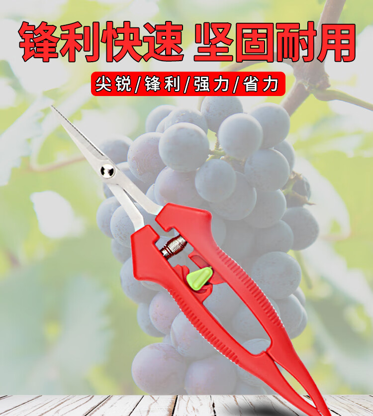亚弗葡萄剪刀修枝剪园艺稀果剪采摘剪刀园林果树剪刀粗枝花剪摘水果剪