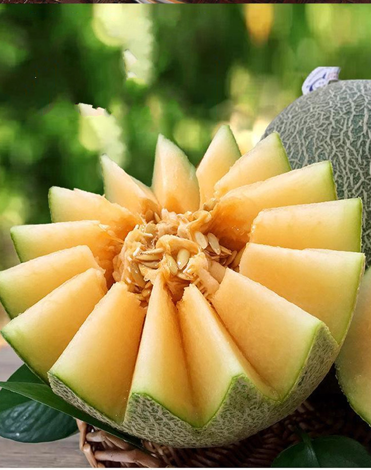 进口:国产原产地:新疆包装形式:简装类别:蜜瓜品种:哈密瓜商品产地