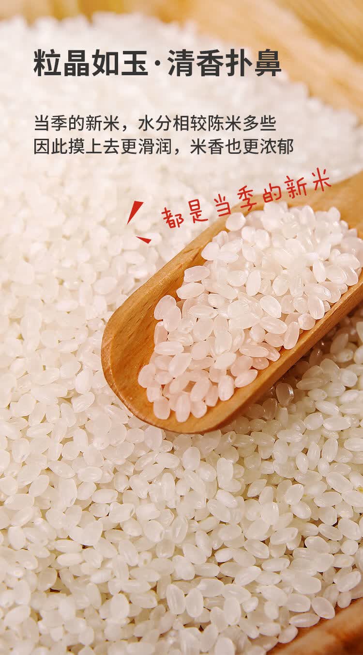 东北珍珠米粒粒香圆粒米寒地香米小町米产地现磨现