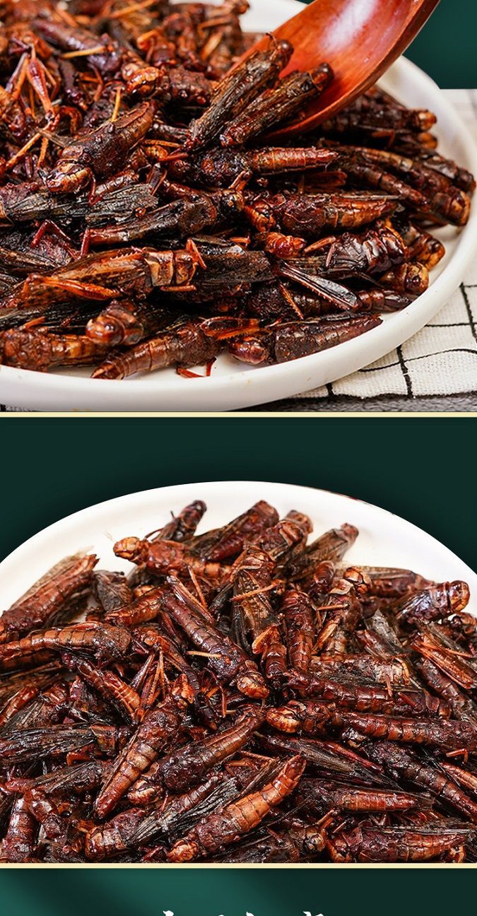 晨臻孜然味即食带翅蚂蚱油炸蚂蚱下酒零食酒肴蚂蚱即食蝗虫 去翅孜然