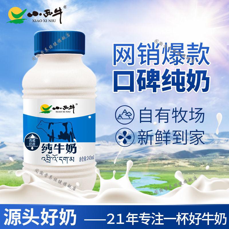 小西牛青海纯牛奶243ml3瓶口碑早餐纯牛奶3瓶纯牛奶243ml3瓶好买整箱