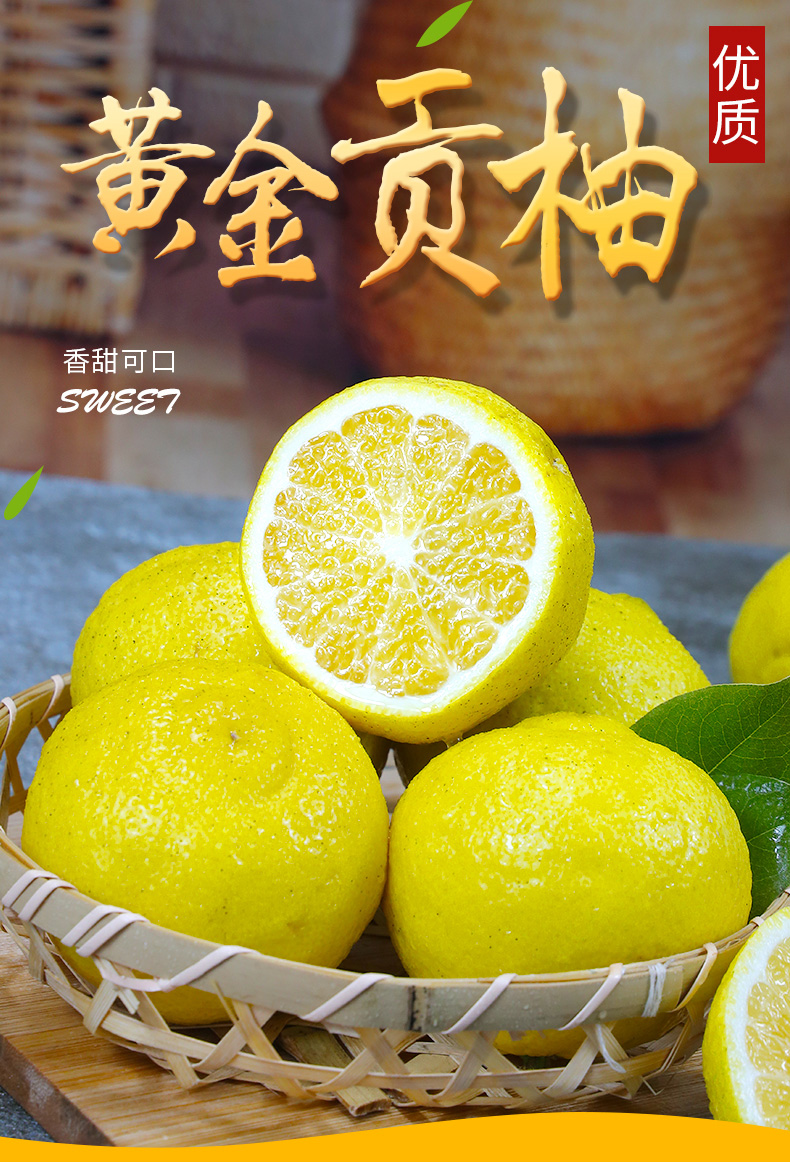 素界 湖南黄金贡柚新鲜水果整箱大果应当季黄肉蜜柚z 5斤 【中果】