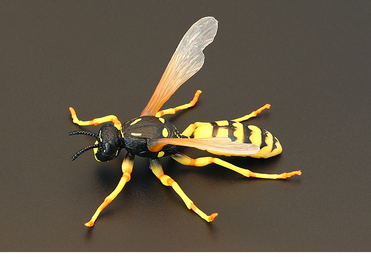 儿童仿真昆虫玩具实心摆件儿童昆虫玩具模型套装大黄蜂马蜂胡蜂蜜蜂