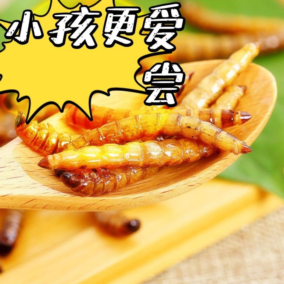 大麦虫即食香辣油炸新鲜现做黄金虫面包虫大麦虫昆虫美食高营养麻辣