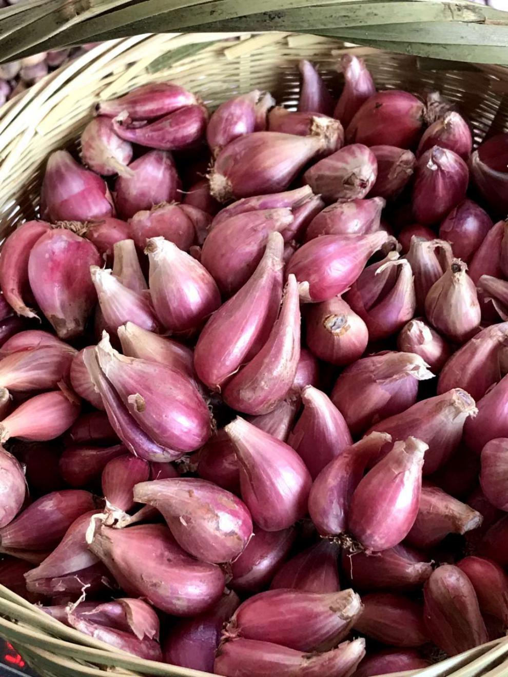 农家红葱头自产小香葱榨油食用四季葱头净重5斤2500g