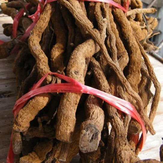 胡椒根 海南胡椒根黑胡椒根中材胡椒根多规格海南胡椒根 1000克【图片