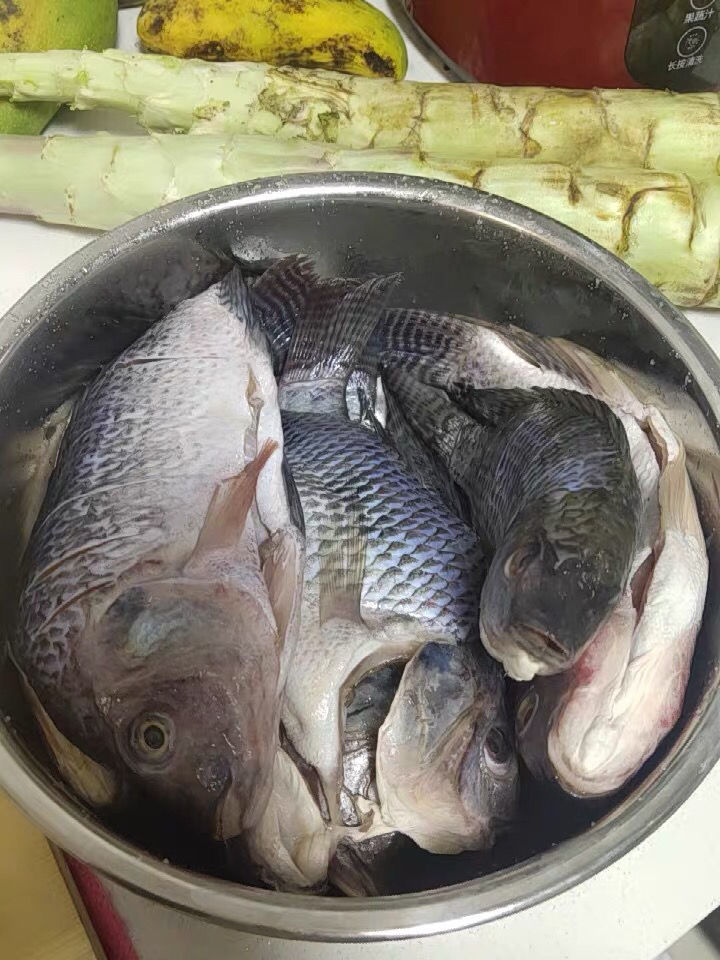 罗鱼新鲜鲜活现杀冷冻罗飞脆肉腌制福寿鱼 3-4条(总重1.8-2.