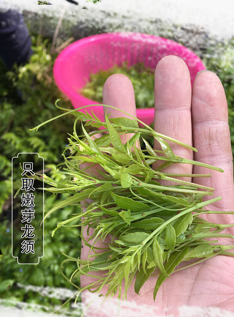 来凤藤茶恩施富硒藤茶小希特龙须子咽喉咳茶特产芽尖霉茶正宗来凤藤茶