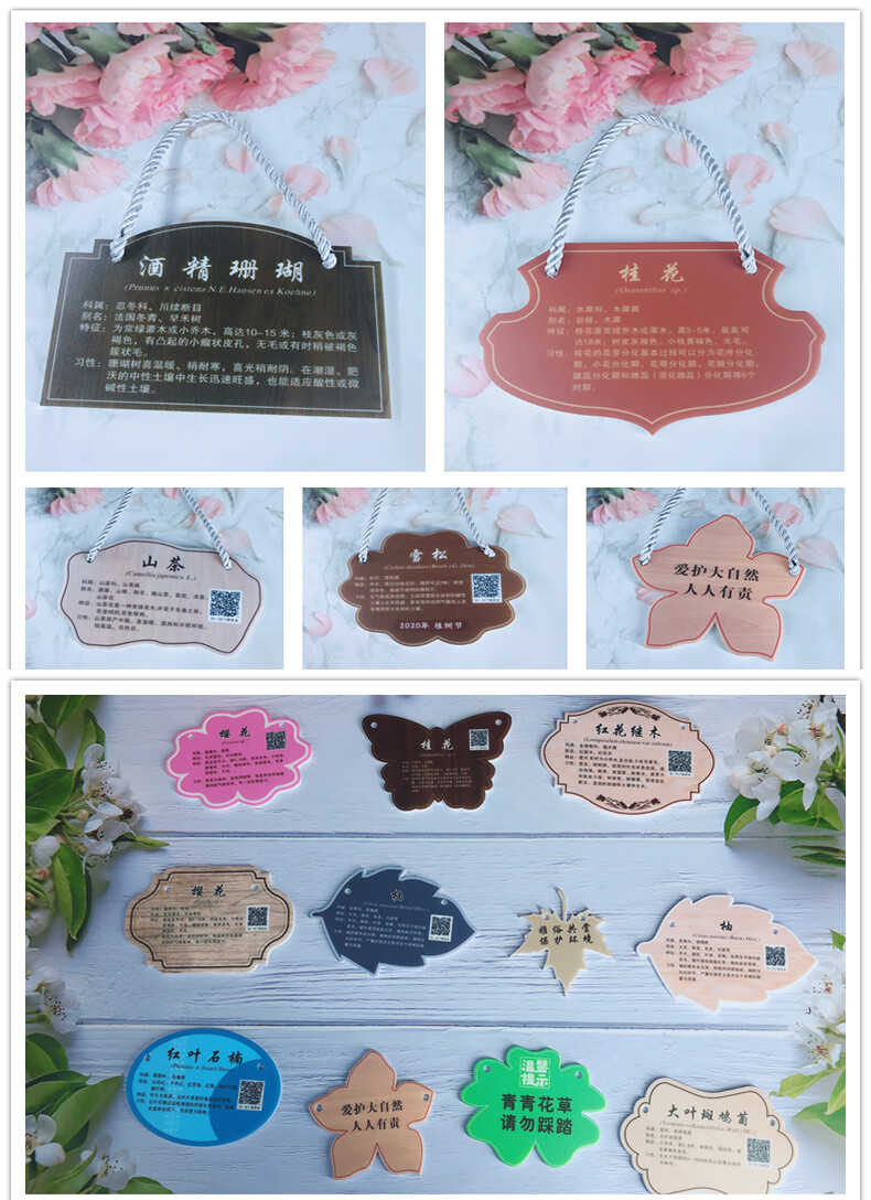 树木标识牌树牌挂牌定做学校公园植树节插地牌子设计植物绿化信息牌