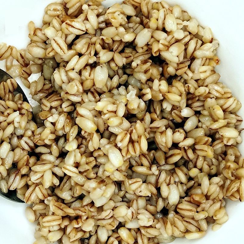 晨臻阜阳特产麦仁酵子临泉小吃麦酵子米曲浮子汤圆米酒农家手工 麦仁