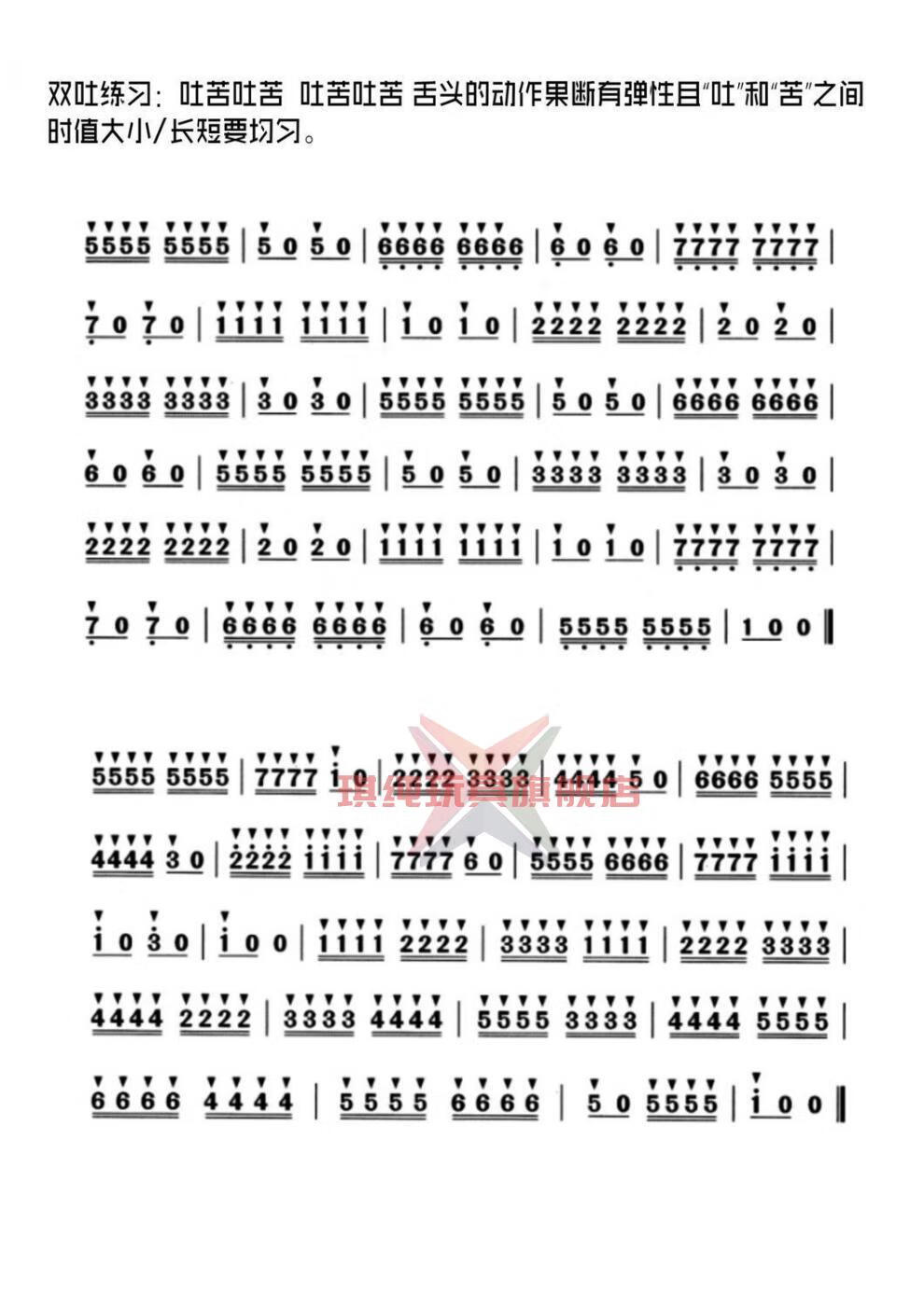 罗兰雅佳5000电吹管教学视频学习教材初学者入门歌谱伴奏简谱教程