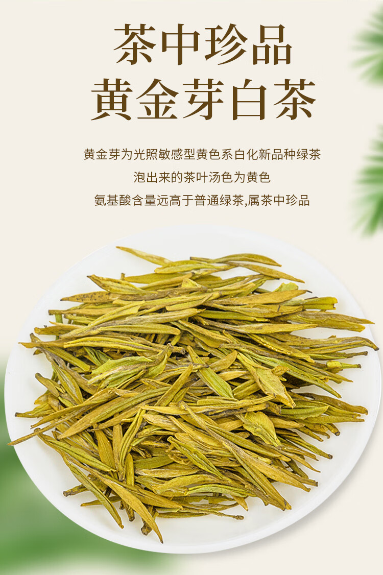 2021年新茶明前特级天目湖黄金芽溧阳特产绿茶茶叶200g礼盒装节日送礼