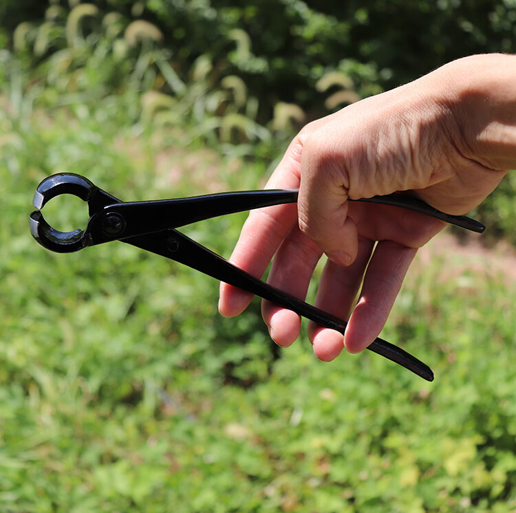 球节剪球节剪球形剪球剪球结剪盆栽造型制作树瘤树节修剪盆景工具顾致