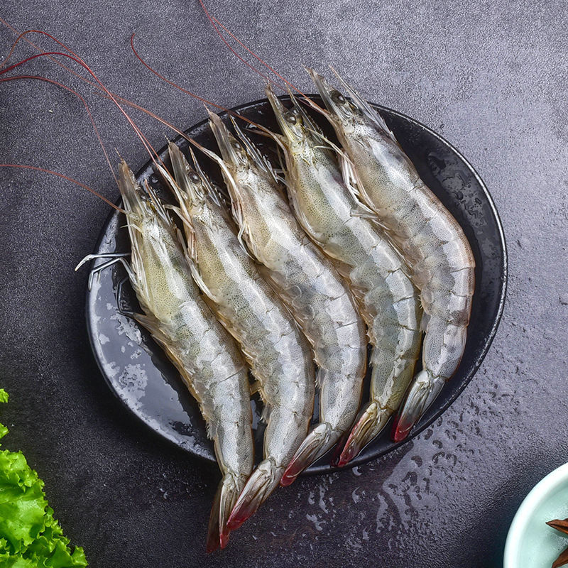 虾批发虾一箱小海虾虾子小虾鲜活冻虾批发小虾家庭商用花约朵娜3斤3