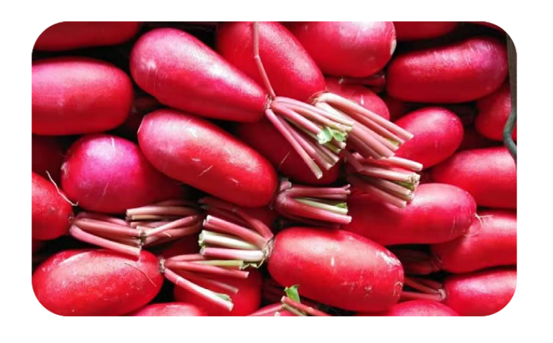 现挖红皮水萝卜白肉新鲜蔬菜泡菜原料当季蔬菜应季红萝卜2500g