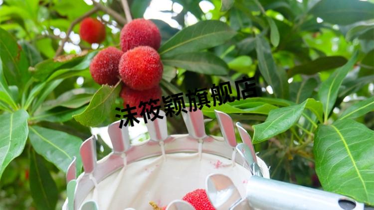 蓝莓采摘器 水果采摘神器工具高空摘果剪摘柿子橘子伸缩摘果器杏杨梅