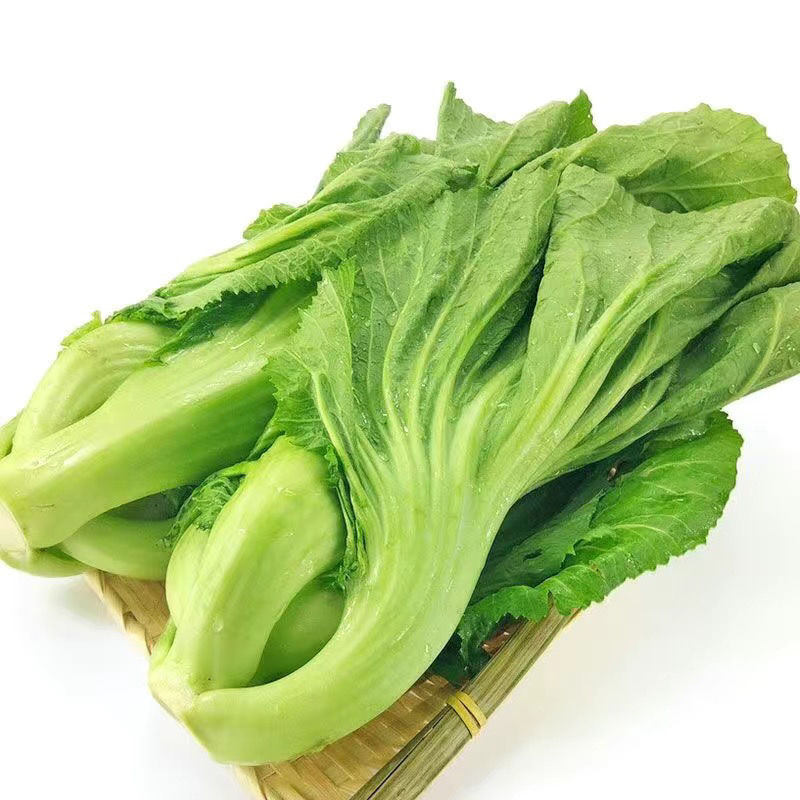 云南新鲜蔬菜青菜大叶宽帮芥菜水芥菜腌制酸菜鱼农家现摘现发【10月23