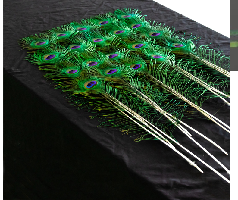 工艺品孔雀毛真羽毛孔雀翎尾婚庆客厅玄关装饰品80和100厘米各六支