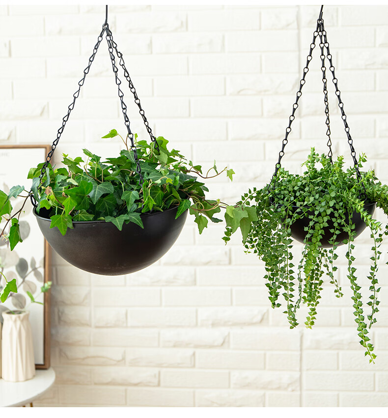 新款铁艺绿萝悬挂吊盆垂吊吊篮挂篮花架挂架挂式吊花盆黑色小号铁中等