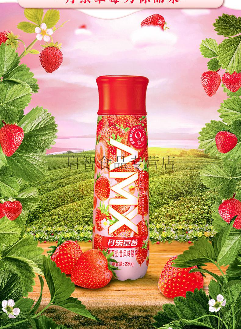 酸奶 230g*10瓶 amx丹东草莓奶昔风味学生牛奶整箱礼盒装 amx芦荟颗粒