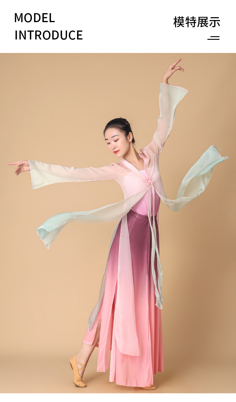 服古典舞蹈服装女民族舞演出服中国舞身韵纱衣飘逸仙气现代舞上衣练功