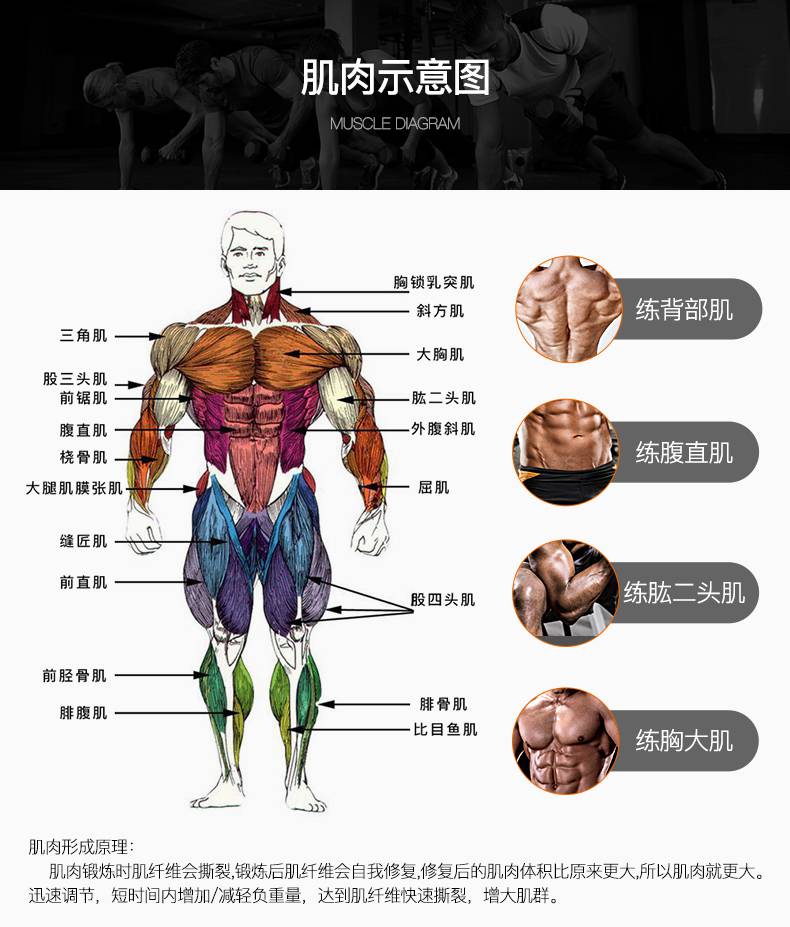 男女通用可调节哑铃 head海德哑铃 男女可拆卸调节家用健身器材哑铃