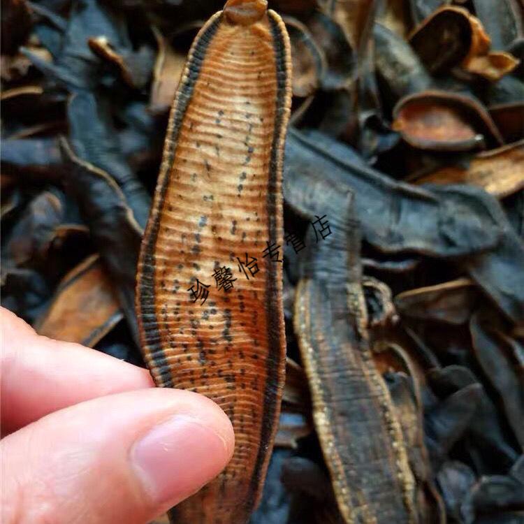 伟博中药材水蛭干货干品蚂蟥宽体金线蛭大水蛭非吊干可磨水蛭粉官网