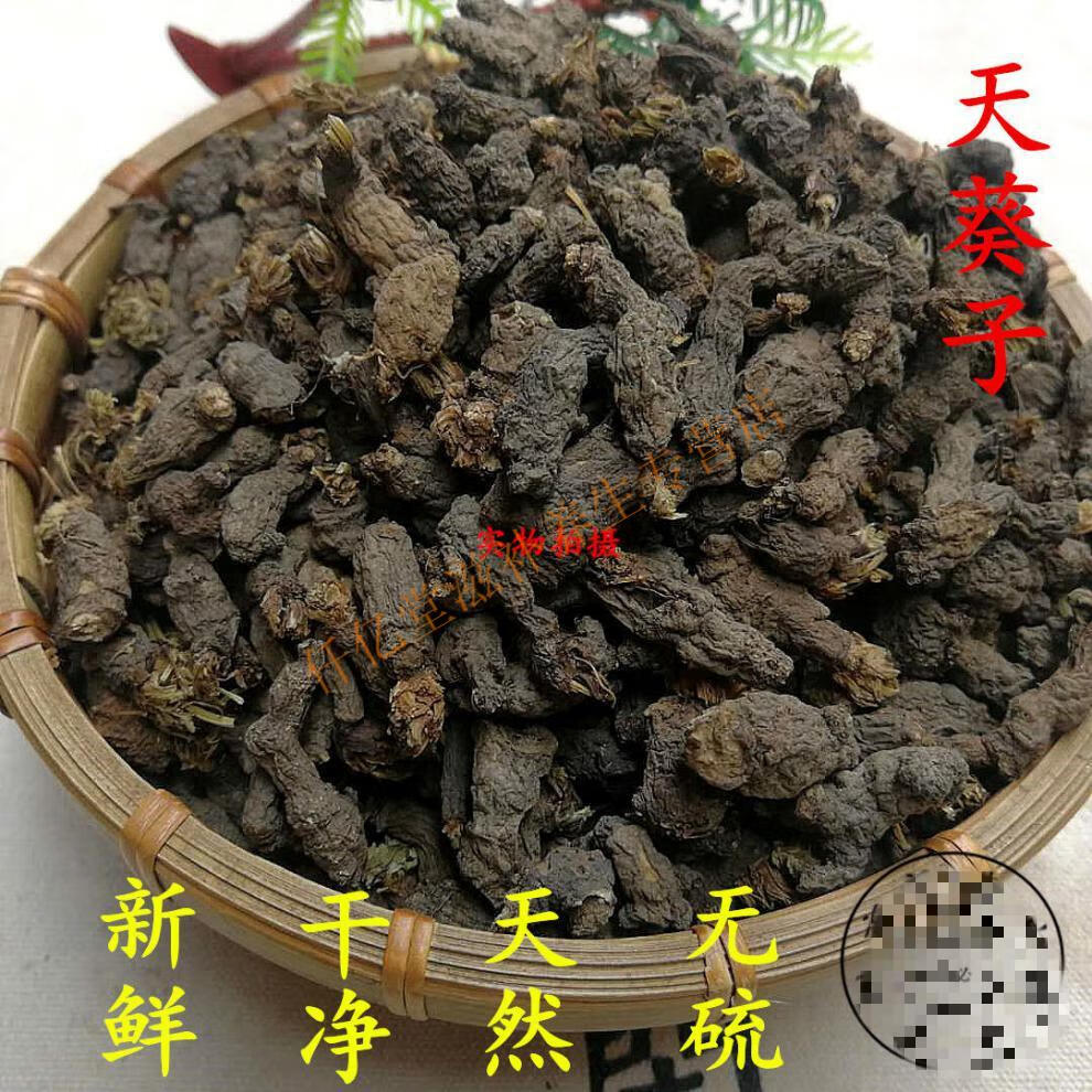 天葵子100克紫背天葵中藥材天葵草千年老鼠屎金耗子屎中草藥100克