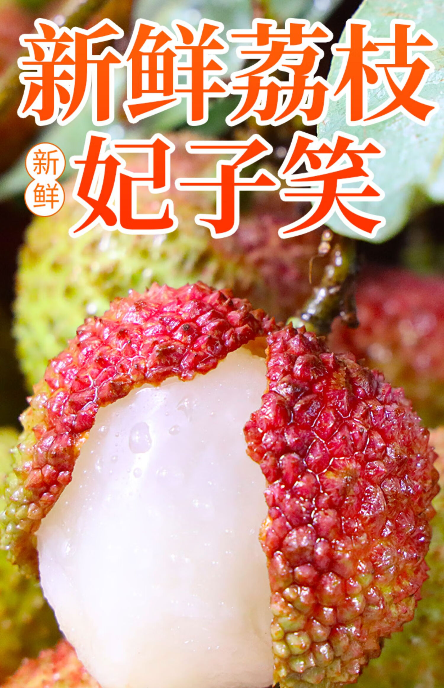 晶太太妃子笑荔枝 广东直供新鲜现摘现发水果整箱当季 精美礼盒 端午