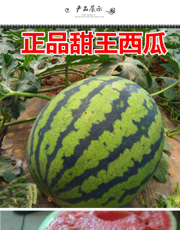 甜王西瓜种子超甜新疆超大特大懒汉西瓜种籽四季水果种甜王西瓜500粒