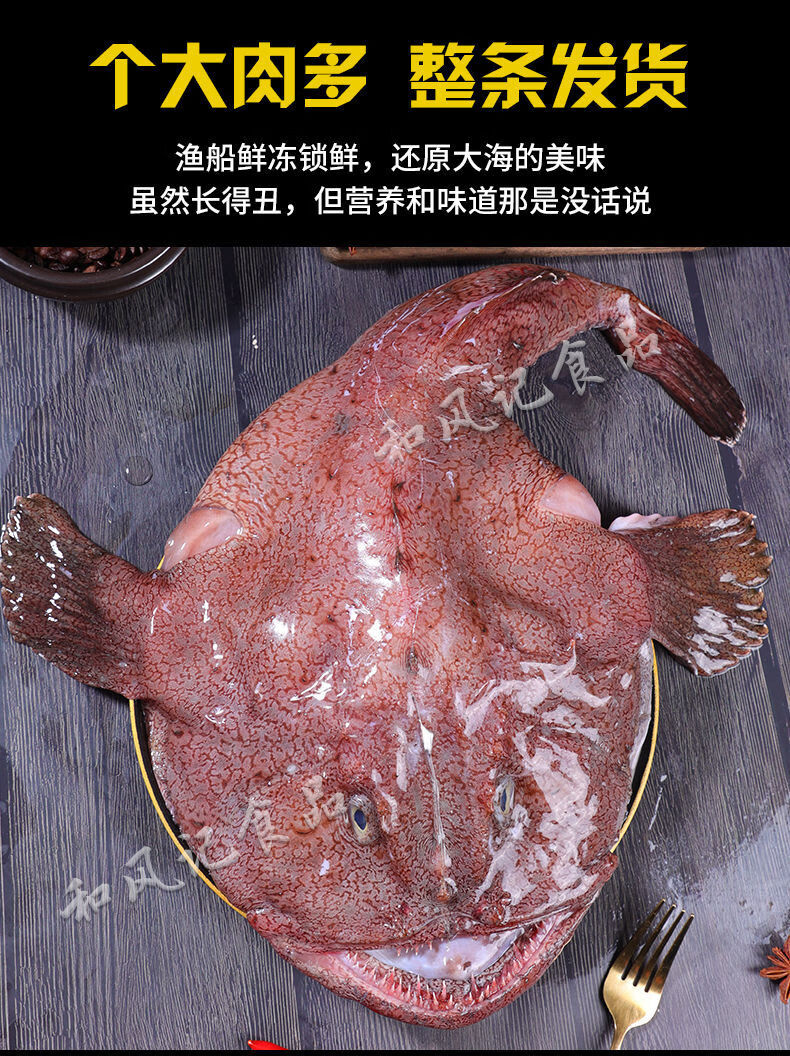 新鲜安康鱼超大蛤蟆鱼鮟鱇灯笼鱼海捕速海鱼冻杀好去内脏保留肝肚速冻