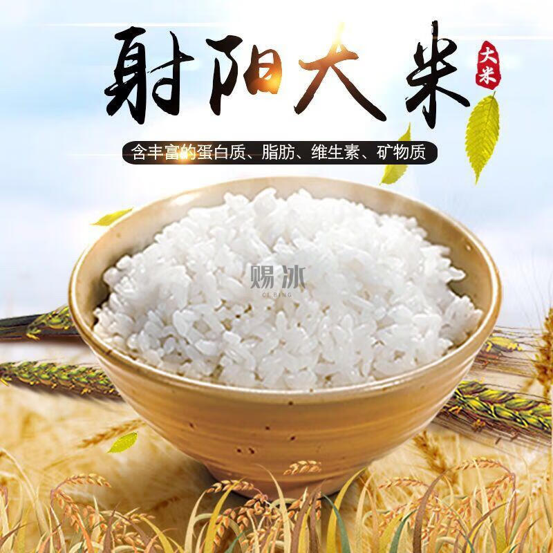 射阳大米5斤20斤射阳大米苏北大米原产地发货生产日期新鲜好吃的射阳