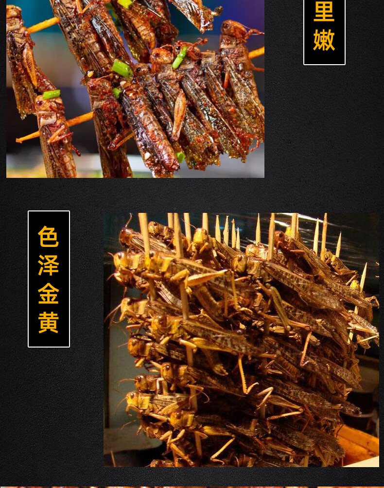 大蚂蚱串蝗虫串酥脆蚱蜢串烧烤油炸蚂蚱20根每袋 20根每袋【图片 价格